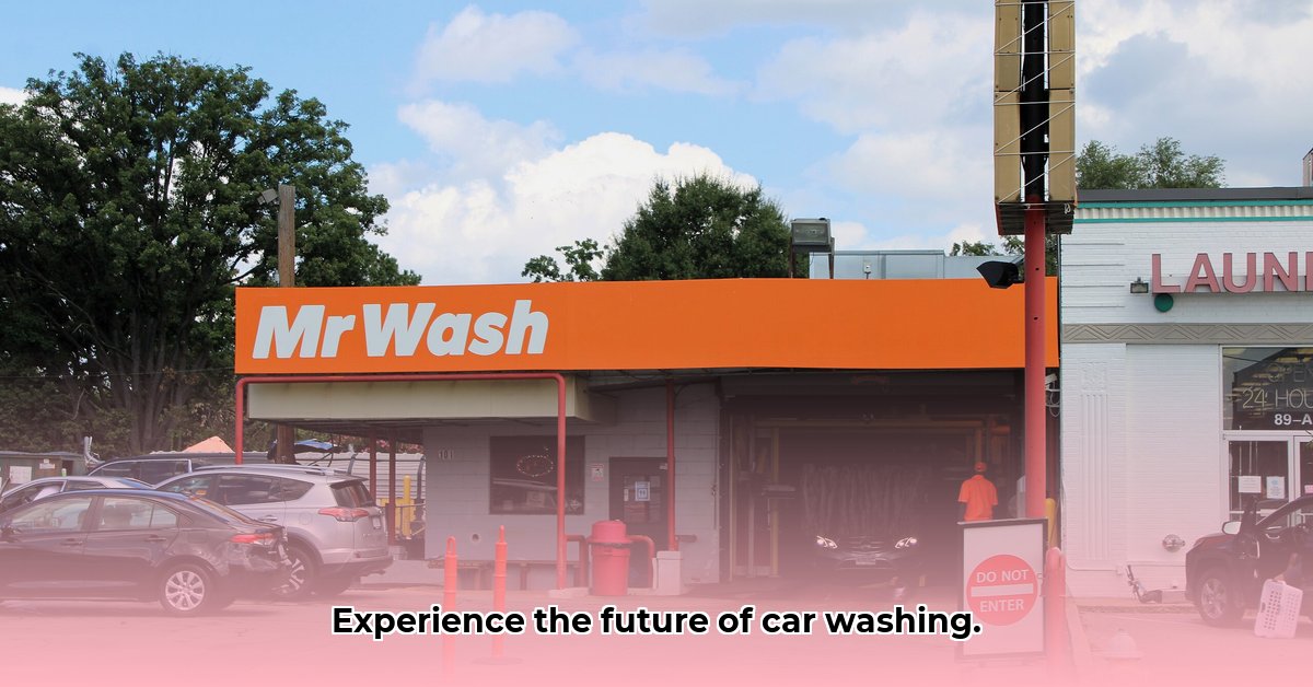 mr-wash-glebe